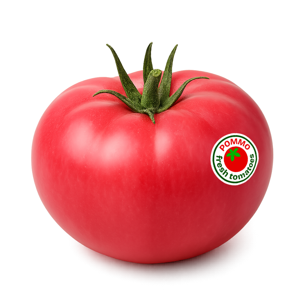 Портрет человека
